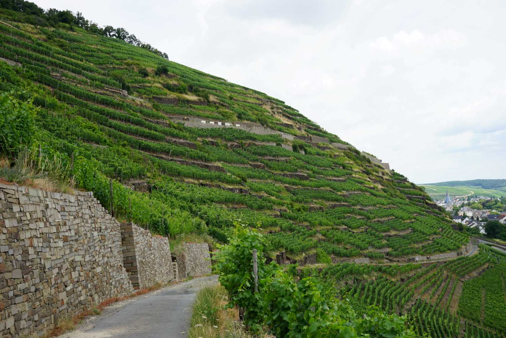 Vinmark i Ahr-Vinskrænt