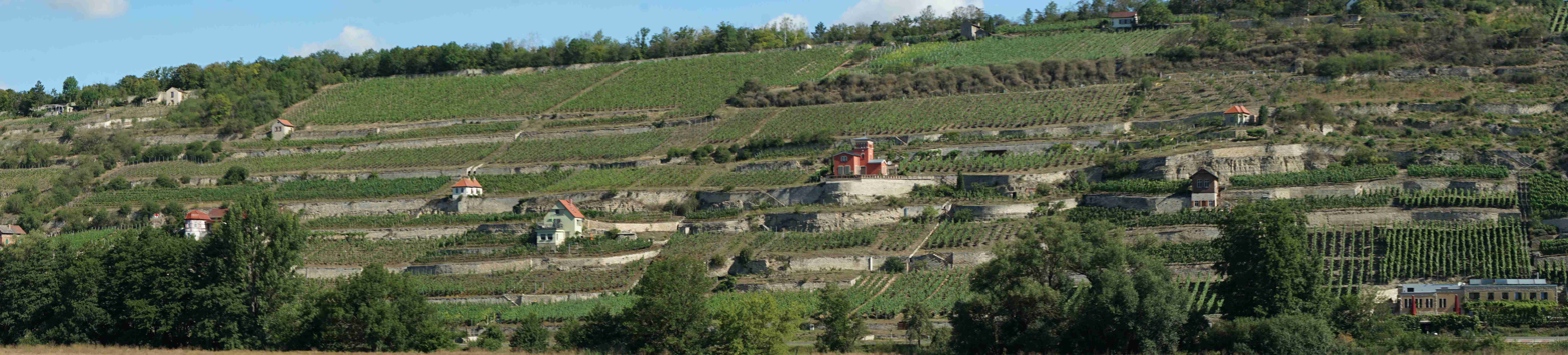 Saale-Unstrut Vinmarker