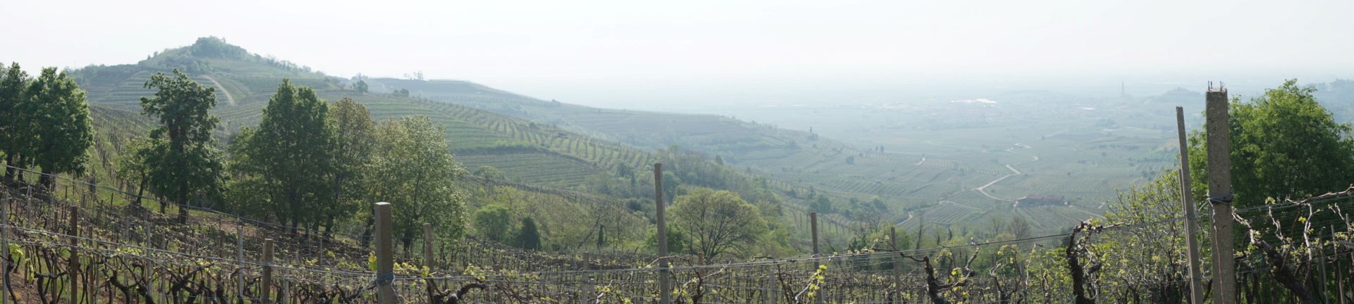 Panorama af Soave